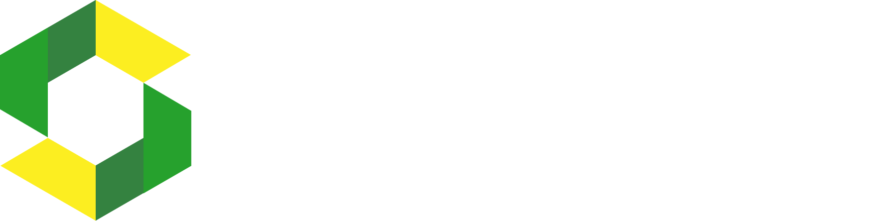 Secure100 Logo